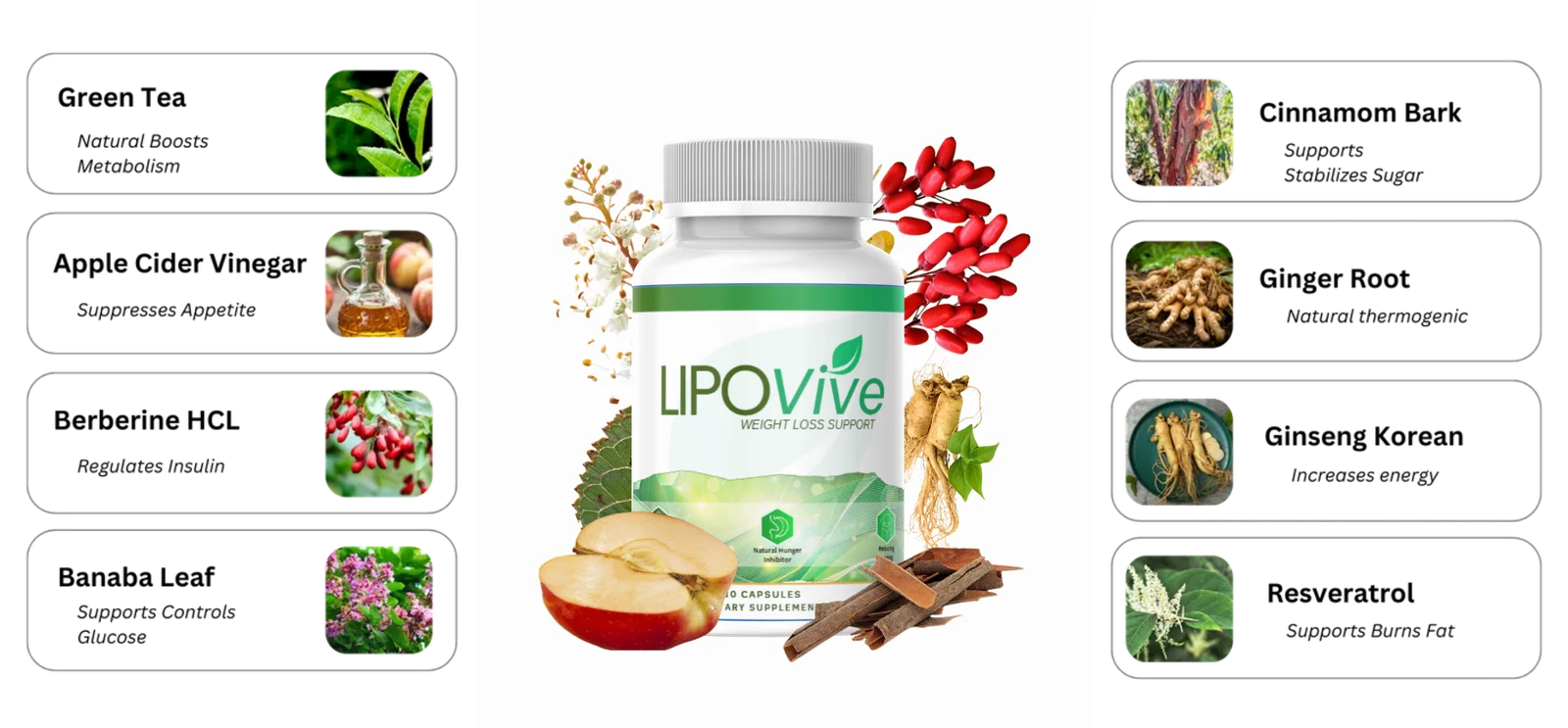 Buy LipoVive